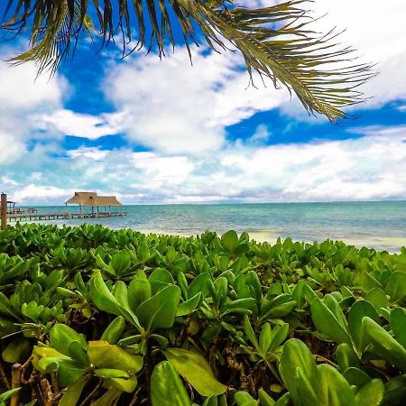 Punta Me Beach Suites Канкун Екстериор снимка