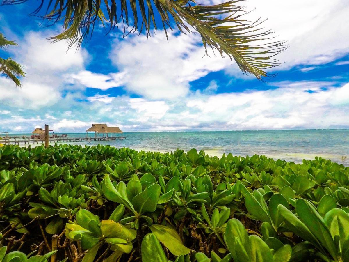 Punta Me Beach Suites Канкун Екстериор снимка